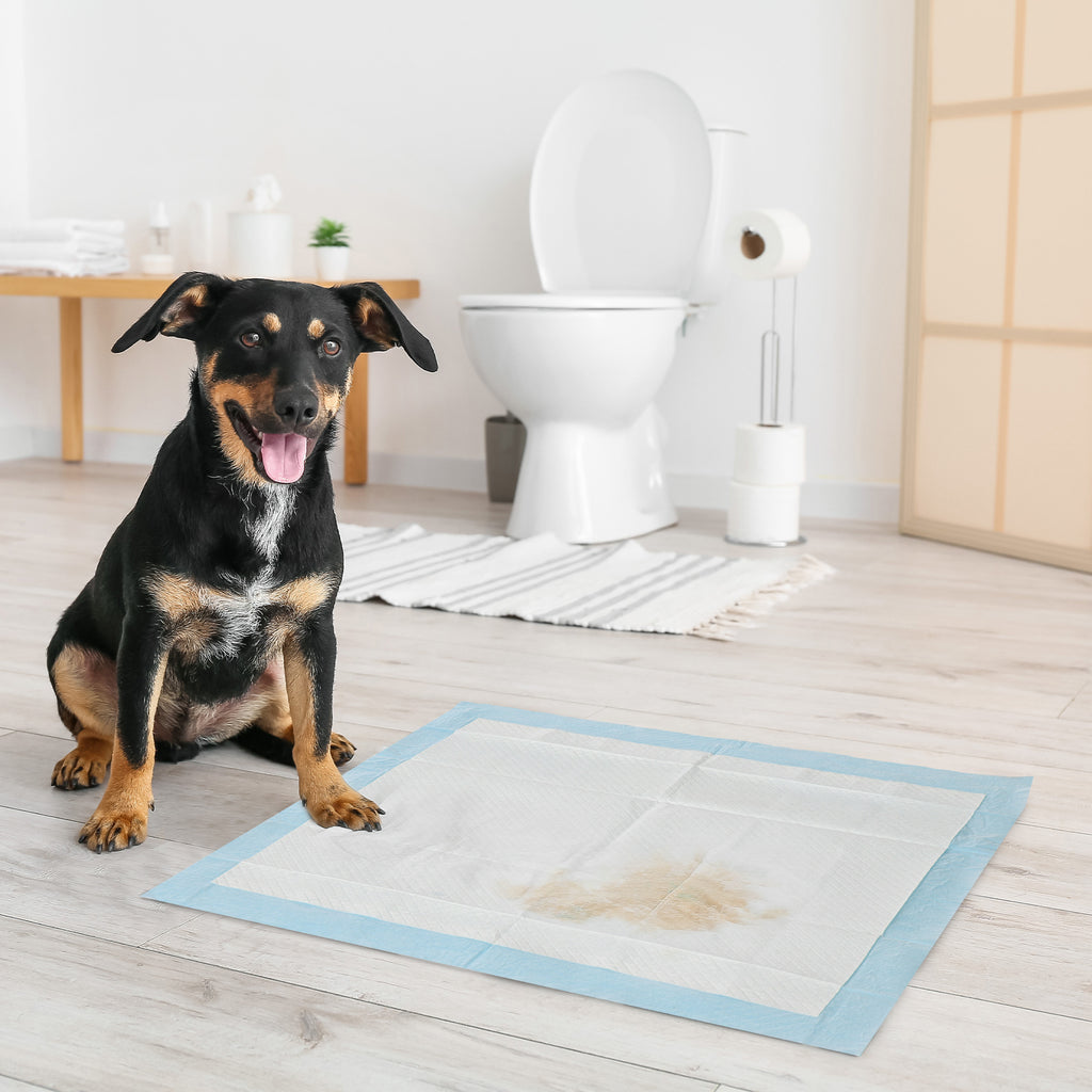 NOLI Loupio — Tapis Absorbants Étanches 60x60 — Lot de 80