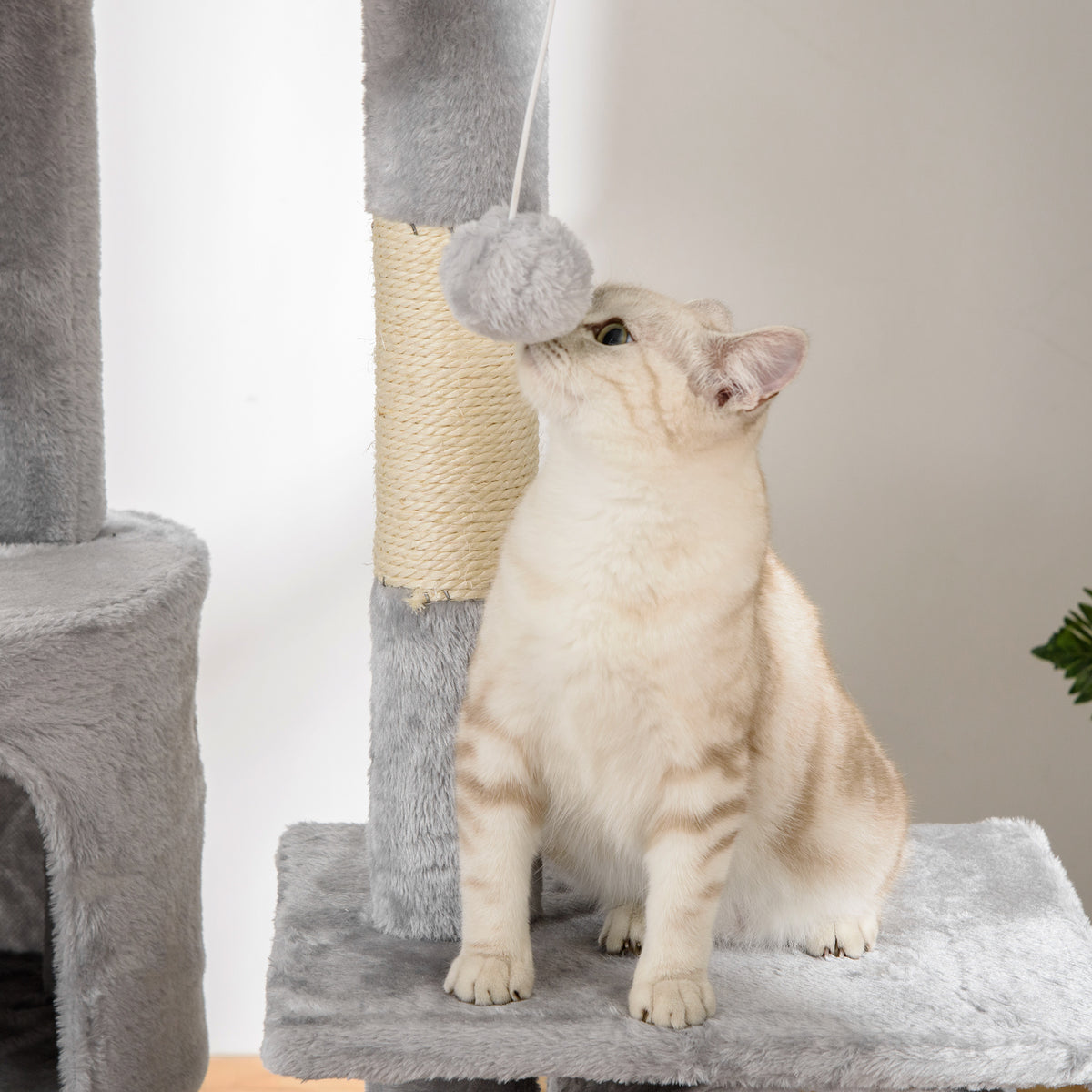 NOLI Ovinea — Arbre à Chat Réglable premium