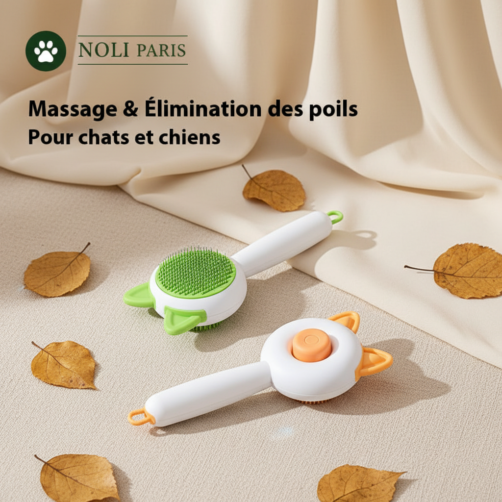 NOLI Clean - Massage