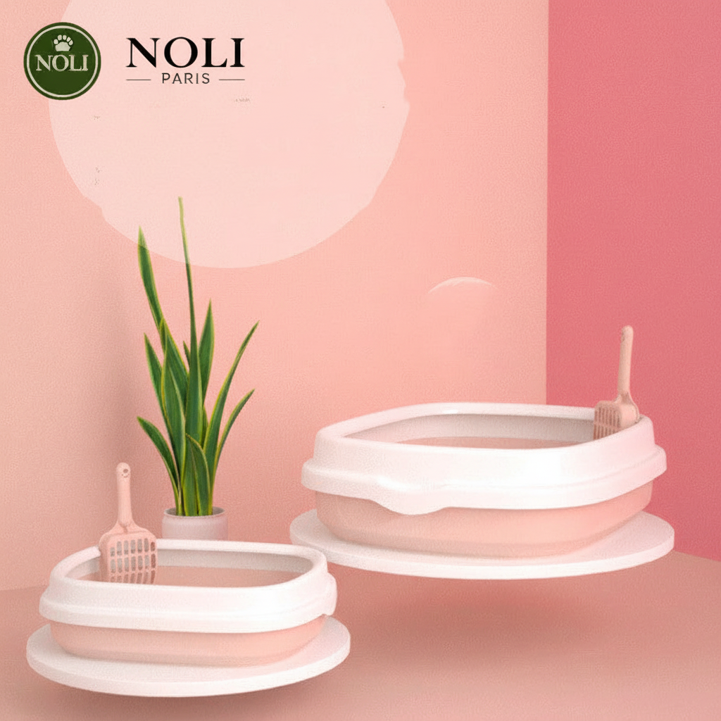 NOLI Pure avec logo