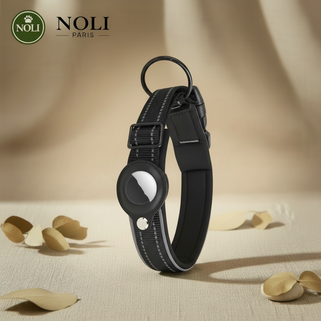 NOLI Track - Black Collar