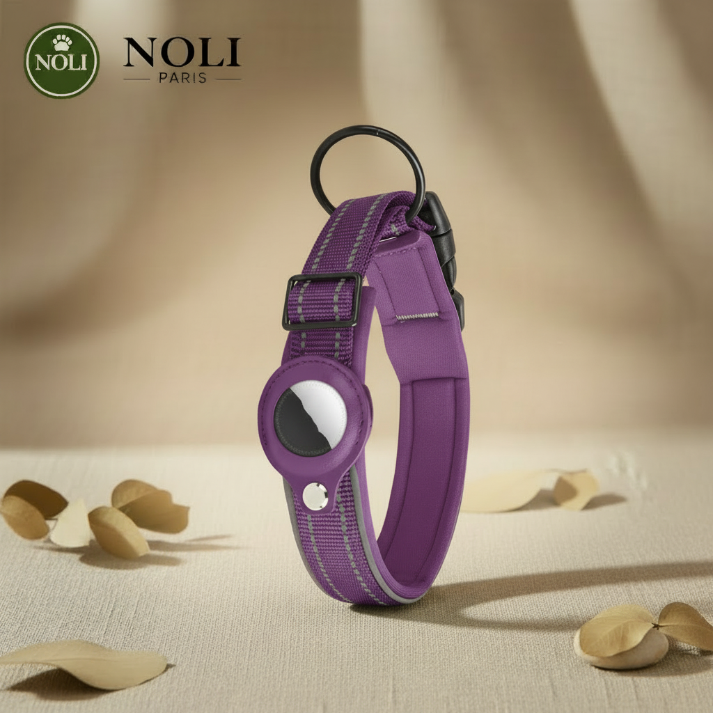 NOLI Track - Purple Collar