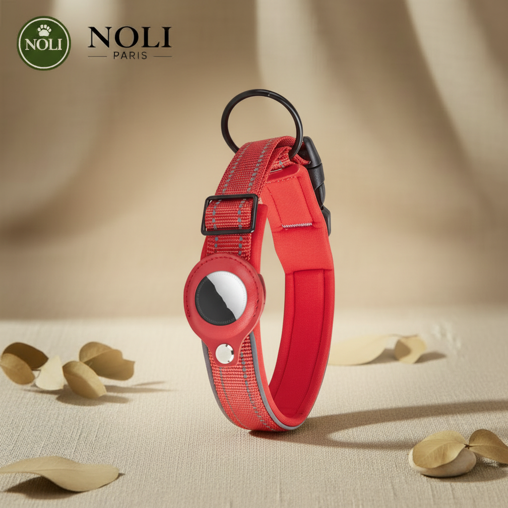NOLI Track - Red Collar
