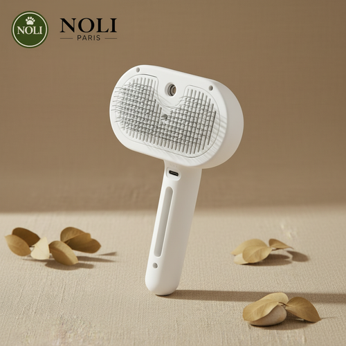 P26 — NOLI Clean Brumeo