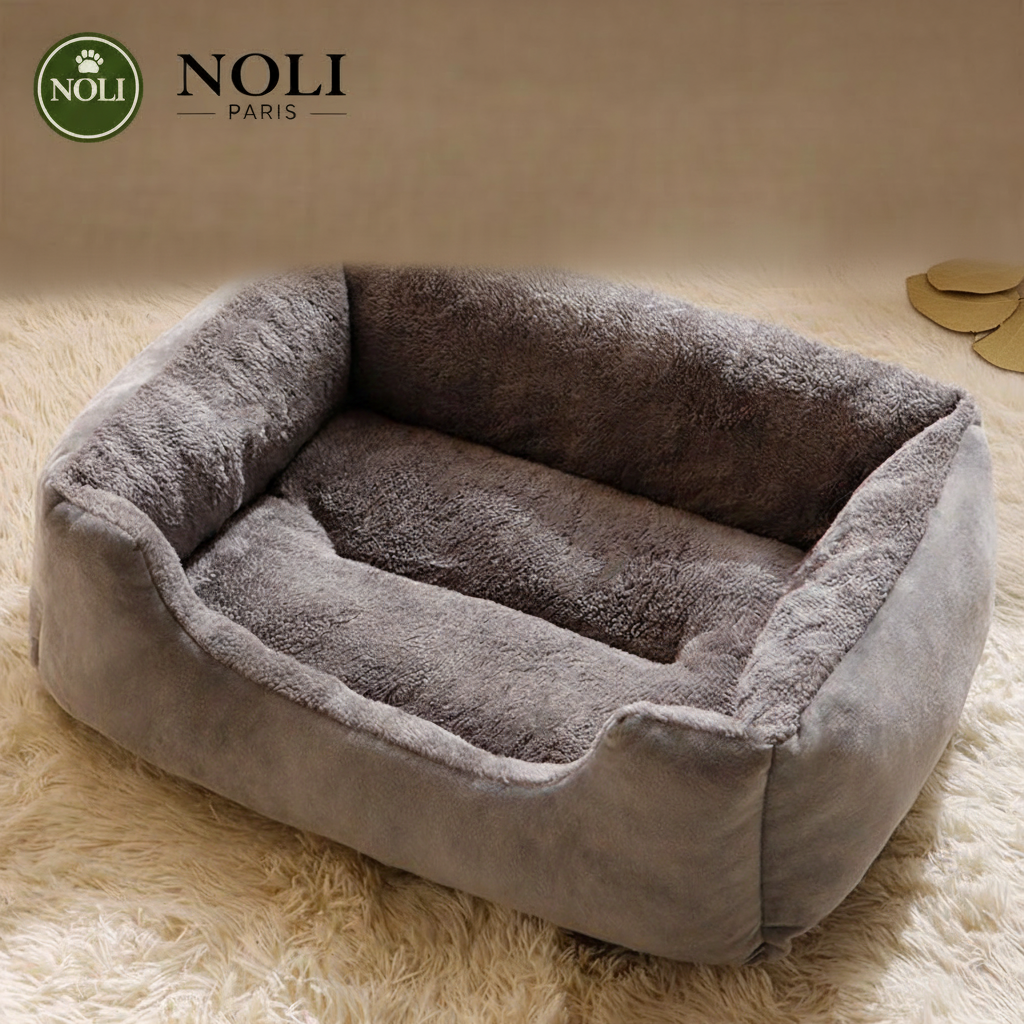 P34 — NOLI Sofa Nova Panier