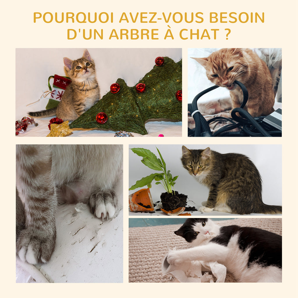 NOLI Ovinea — Arbre à Chat Réglable premium