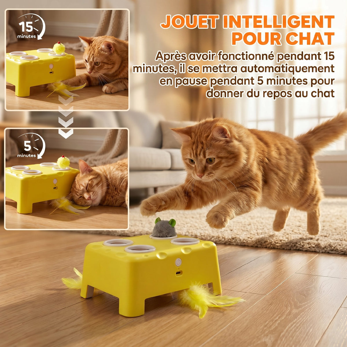 NOLI Catiix — Table de Jeu Interactive Électronique pour Chat